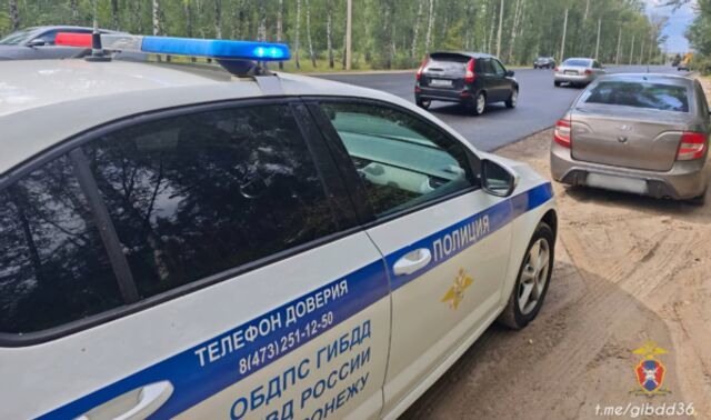 В Воронеже водитель с долгом почти 47 тысяч рублей оплатил 27 штрафов прямо на месте остановки - Новости Воронежа, 27.08.2025