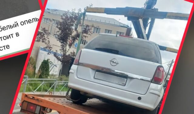 Чат-бот «Беспределу.Нет» помог выявить нарушение на улице Вайцеховского - Новости Воронежа, 16.09.2025