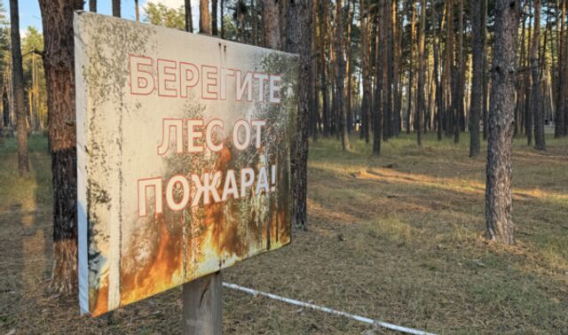 В Воронежской области виновников поджогов травы оштрафовали на 1,4 млн рублей - Новости Воронежа, 23.10.2025
