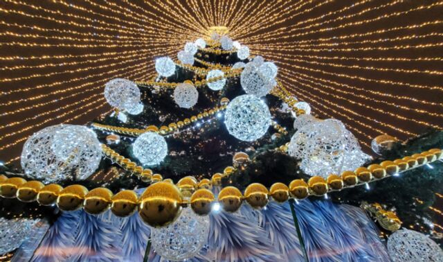 На новогоднее оформление Адмиралтейки и катка в Воронеже готовы потратить более 80 млн рублей - Новости Воронежа, 29.10.2025