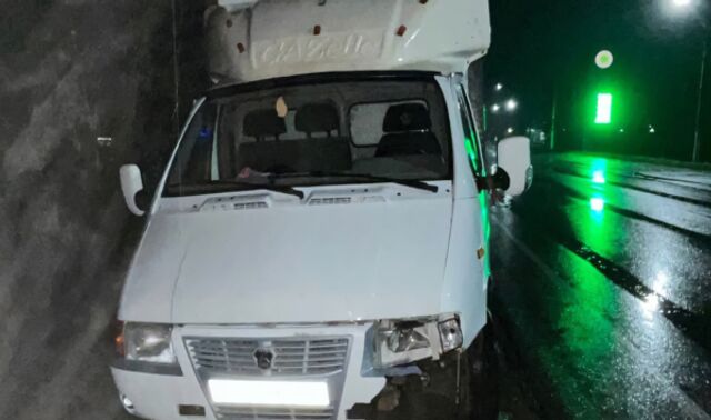 Пешеход погиб под колёсами «ГАЗели» на трассе под Воронежем - Новости Воронежа, 30.10.2025