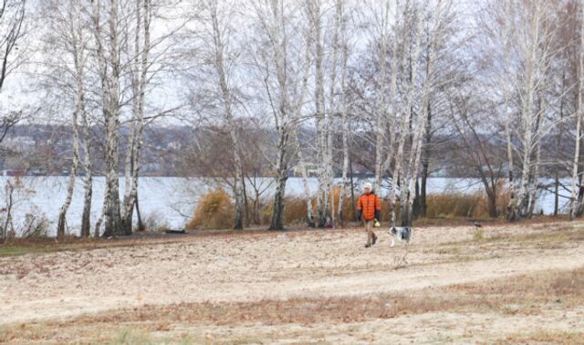 Прогулочная зона появится на набережной Артамонова в Воронеже в 2026 году - Новости Воронежа, 15.11.2025