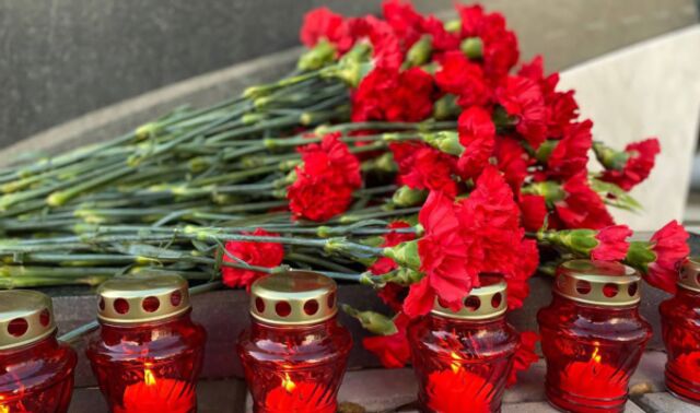 В Воронеже прошли памятные мероприятия ко Всемирному дню памяти жертв ДТП - Новости Воронежа, 16.11.2025