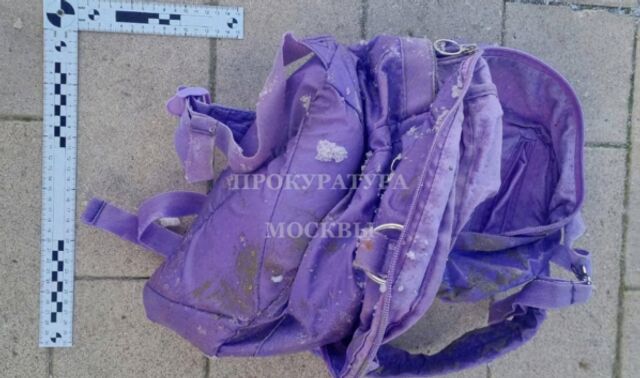 Мальчика, чью голову нашли в Гольяновском пруду, мог убить отчим Мальчика, чью голову нашли в Гольяновском пруду, мог убить отчим - Новости Воронежа, 16.11.2025