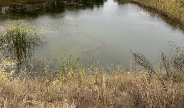 МЧС сообщило о гибели женщины в реке Усманка в Новой Усмани - Новости Воронежа, 17.11.2025