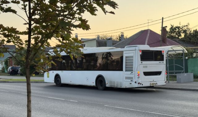 В Воронеже начались проверки маршруток и автобусов со стороны ГАИ - Новости Воронежа, 18.11.2025