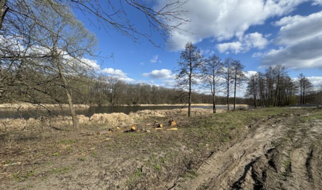 9,5 гектара у реки Воронеж продали за 1,1 млн при кадастровой цене свыше 27 млн - Новости Воронежа, 02.03.2026