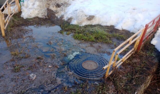 Сточные воды с улицы Ломоносова попали на территорию «Воронежской нагорной дубравы» - Новости Воронежа, 12.03.2026