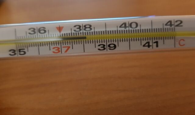 10,7 тысячи жителей Воронежской области за неделю обратились к врачам с ОРВИ - Новости Воронежа, 16.03.2026