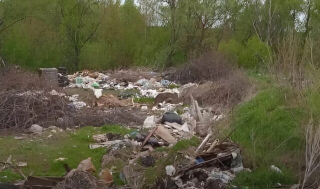 Росприроднадзор: Свалка в Перлевке под Воронежем обернулась иском на 23 млн рублей - Новости Воронежа, 18.03.2026
