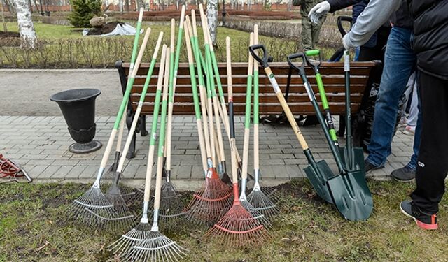Раньше срока: Субботники пройдут в Воронеже 20–22 и 25 марта после жалоб жителей - Новости Воронежа, 19.03.2026