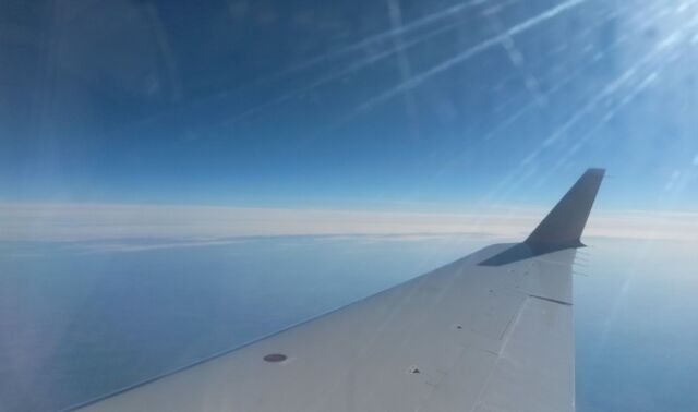 Минтранс России сообщил о готовности авиаперевозчиков к летнему сезону - Новости Воронежа, 31.03.2026