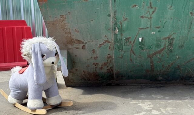 Жалобы сработали: воронежские УК очистили дворы от мусорных навалов - Новости Воронежа, 22.04.2026