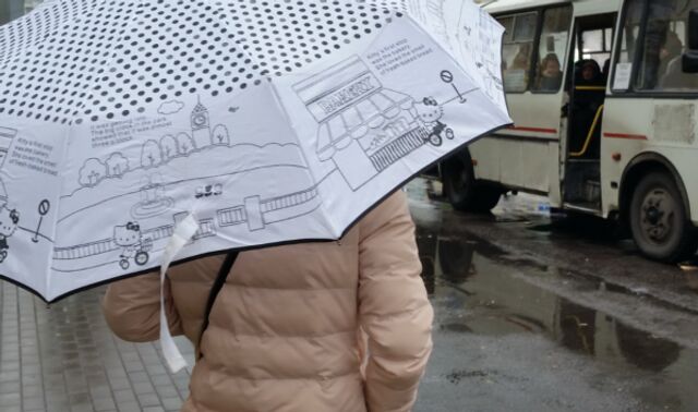 Дождливые выходные в Воронеже: какую погоду ждать горожанам 25 и 26 апреля - Новости Воронежа, 24.04.2026