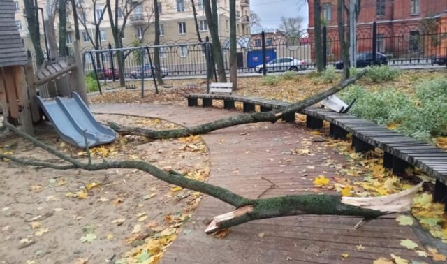 Порывы ветра до 20 м/с ожидаются в Воронеже и области 26 апреля - Новости Воронежа, 25.04.2026