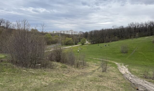 Какую погоду прогнозируют в Воронеже на последнюю неделю апреля и на Первомай - Новости Воронежа, 26.04.2026
