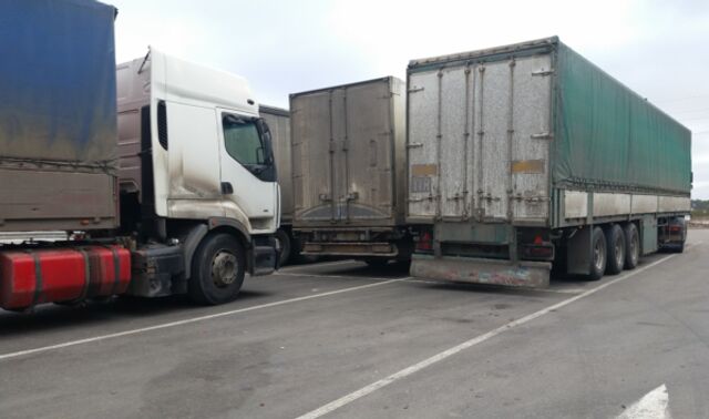 Срок пребывания водителей-международников из СНГ и Грузии увеличили до 180 дней в России - Новости Воронежа, 29.04.2026