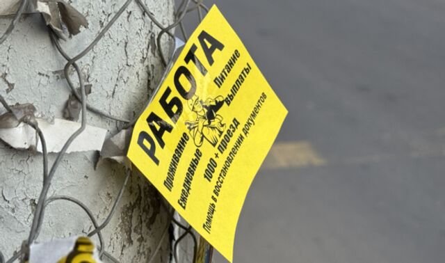 В Воронежской области назвали ТОП-5 самых востребованных профессий лета и зарплаты по ним - Новости Воронежа, 04.06.2026
