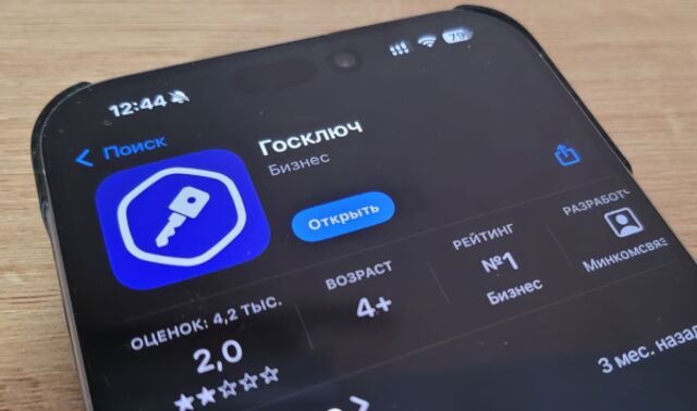 Минцифры: россияне стали пользоваться «Госключом» в 1,5 раза чаще - Новости Воронежа, 17.06.2026
