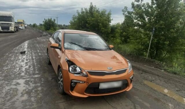 В Воронежской области пешеход погиб под колёсами Kia Rio на трассе - Новости Воронежа, 18.06.2026
