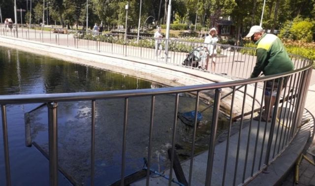 В Воронеже прохожий спас двухлетнего мальчика, упавшего в пруд Центрального парка - Новости Воронежа, 14.07.2026