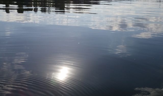 Воронежцам напомнили о правилах безопасного отдыха у водоемов - Новости Воронежа, 12.08.2026