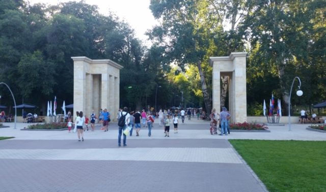 В Воронеже пройдет праздник в честь Всемирного дня бездомных животных - Новости Воронежа, 15.08.2026
