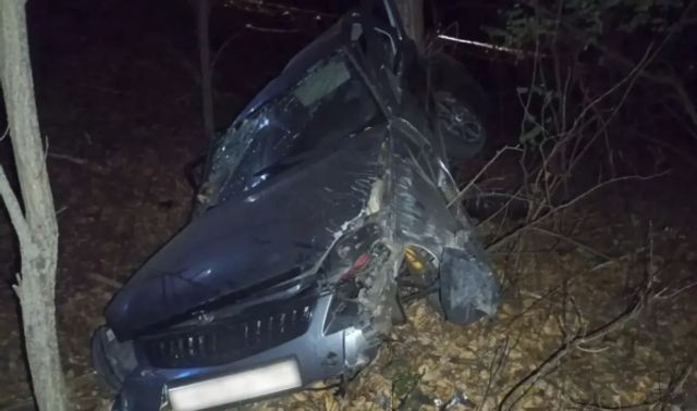 Под Воронежем пьяный водитель ВАЗа врезался в дерево и попал в больницу - Новости Воронежа, 29.10.2026