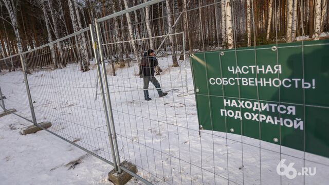 Мэр Екатеринбурга и защитники березовой рощи в Академическом нашли компромисс - 66.ru — Городской портал Екатеринбурга, 12.03.2025