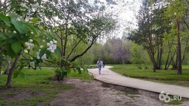Благоустройство парка на Ясной закончат на год раньше. Фото - 66.ru — Городской портал Екатеринбурга, 17.09.2025
