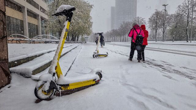 Спикер гордумы Екатеринбурга призвала запретить электросамокаты во всех парках и на улице Вайнера - 66.ru — Городской портал Екатеринбурга, 13.03.2026