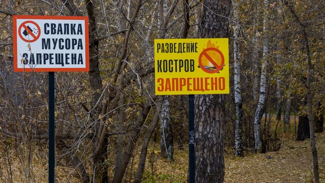 В Свердловской области начал действовать особый противопожарный режим - 66.ru — Городской портал Екатеринбурга, 15.04.2026