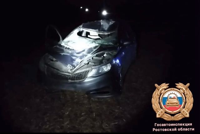 В Миллеровском районе 26 сентября в Миллеровском районе произошло ДТП с участием лося. - Ростов Газета | Новости Ростова-на-Дону, 27.09.2026