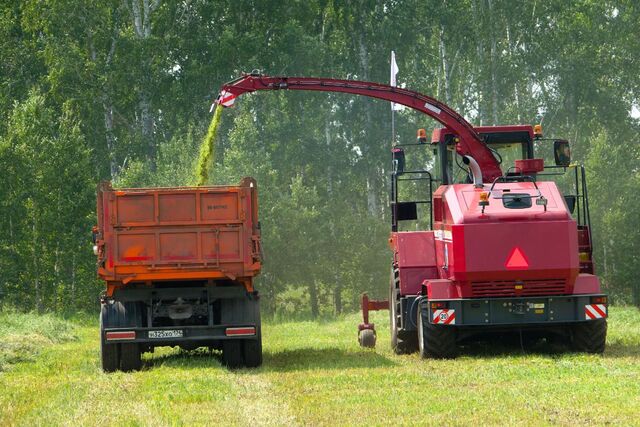Экспорт уральской мукомольной продукции вырос на 10% - Полит74, 16.09.2025
