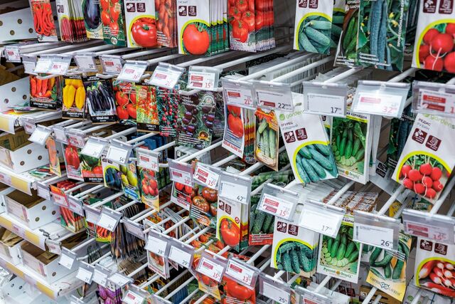 Южноуральские аграрии получили 29 предостережений за высев подозрительных семян - Полит74, 17.03.2026