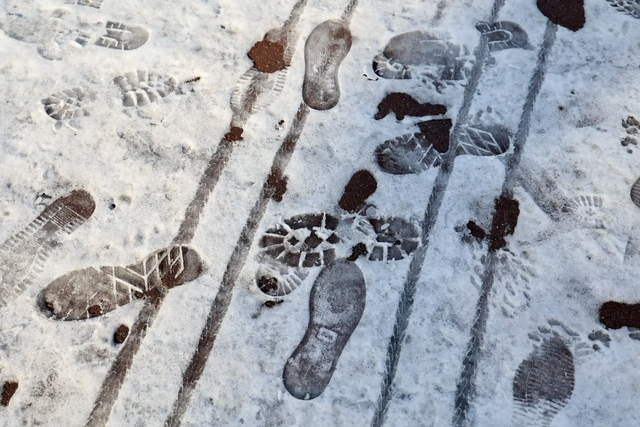 Агроном Людмила Алимова рассказала о защите садовых растений от заморозков в марте - Полит74, 17.03.2026