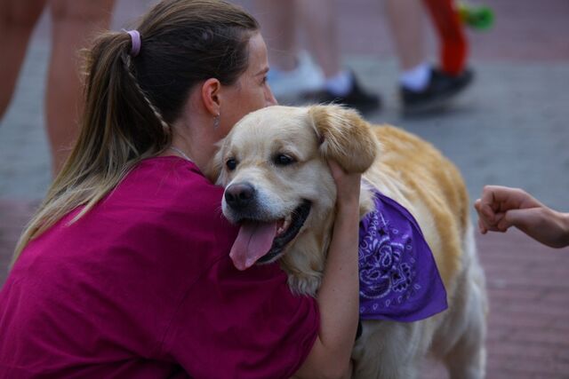 В Челябинске выросло число предложений посуточной аренды жилья для отдыха с питомцами - Полит74, 20.04.2026