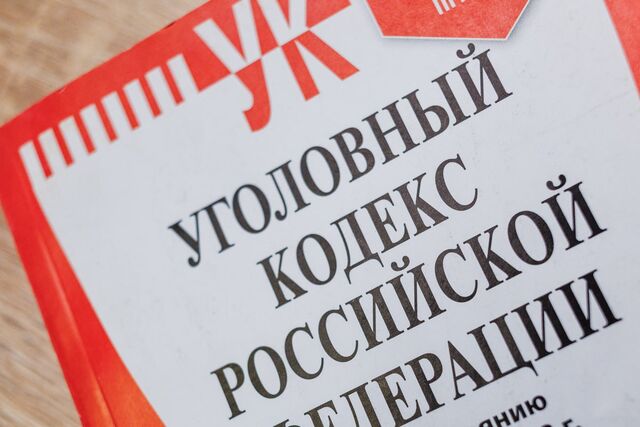 Следователи Южного Урала возбудили дела из-за нападений бродячих собак на людей - Полит74, 24.04.2026