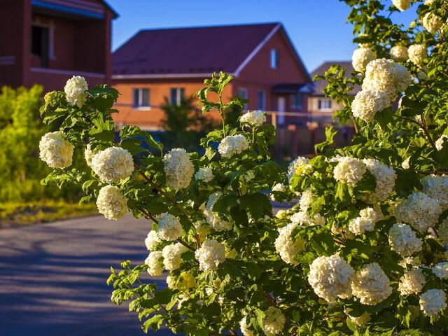Южноуральцы-участники спецоперации смогут получить дачные участки для постройки жилья - Полит74, 29.04.2026