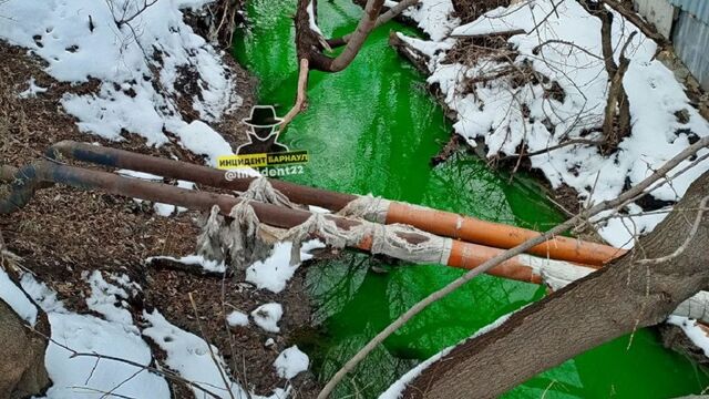 Изумрудная река, снежные берега. Барнаульская Пивоварка вновь поменяла цвет - Алтайская правда, 22.11.2024