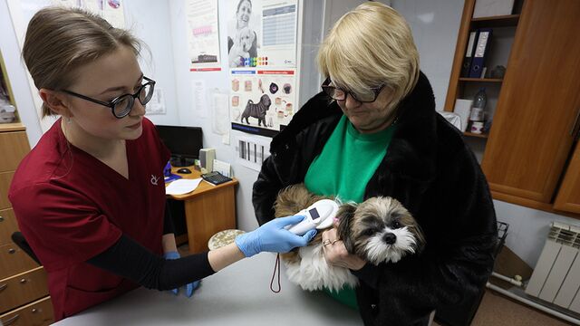 До 1 марта жители Алтайского края могут бесплатно зарегистрировать домашних животных - Алтайская правда, 30.01.2025