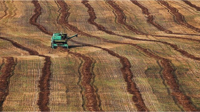 Второй год подряд валовый региональный продукт Алтайского края стабильно растет - Алтайская правда, 17.03.2025