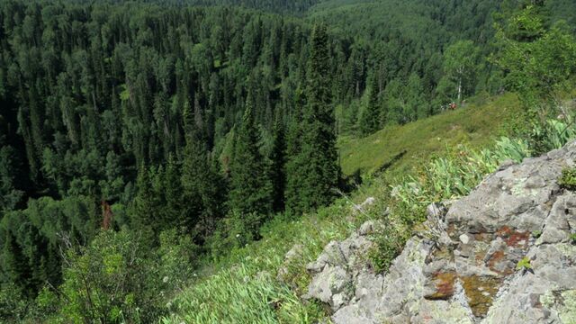 В Заринском районе появилась новая особо охраняемая природная территория — памятник природы «Скала Сапсан» - Алтайская правда, 19.06.2025