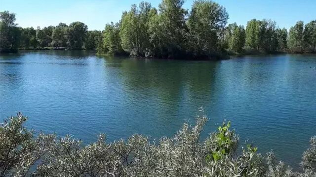 В Алтайском крае участились случаи гибели людей на водоемах - Алтайская правда, 22.06.2025