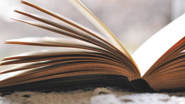 В барнаульском парке проходит книжный фестиваль - Алтайская правда, 29.06.2025