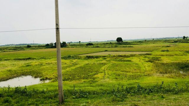 Если участок не используется, могут ли забрать землю - Алтайская правда, 02.07.2025