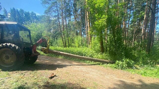 В Бийске убирают бурелом - Алтайская правда, 07.07.2025