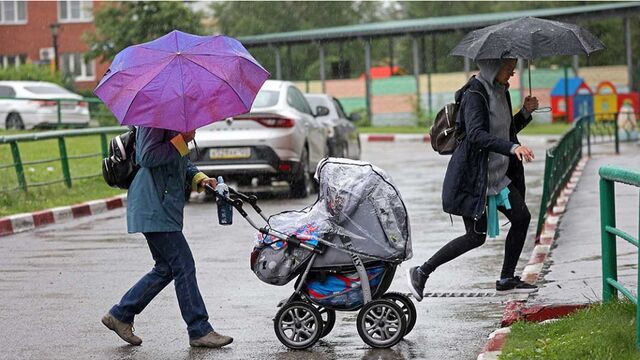 В Алтайский край пришли затяжные дожди - Алтайская правда, 09.09.2025