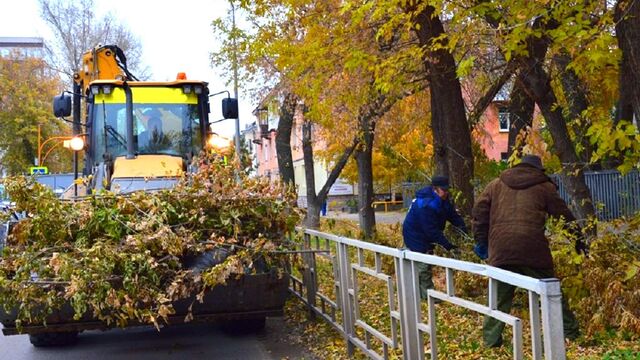 В Барнауле назвали дату общегородского субботника - Алтайская правда, 17.09.2025