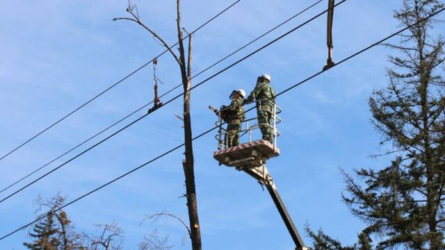 В Барнауле в районе Ленточного бора уберут аварийные деревья В Барнауле в районе Ленточного бора уберут аварийные деревья - Алтайская правда, 27.10.2025
